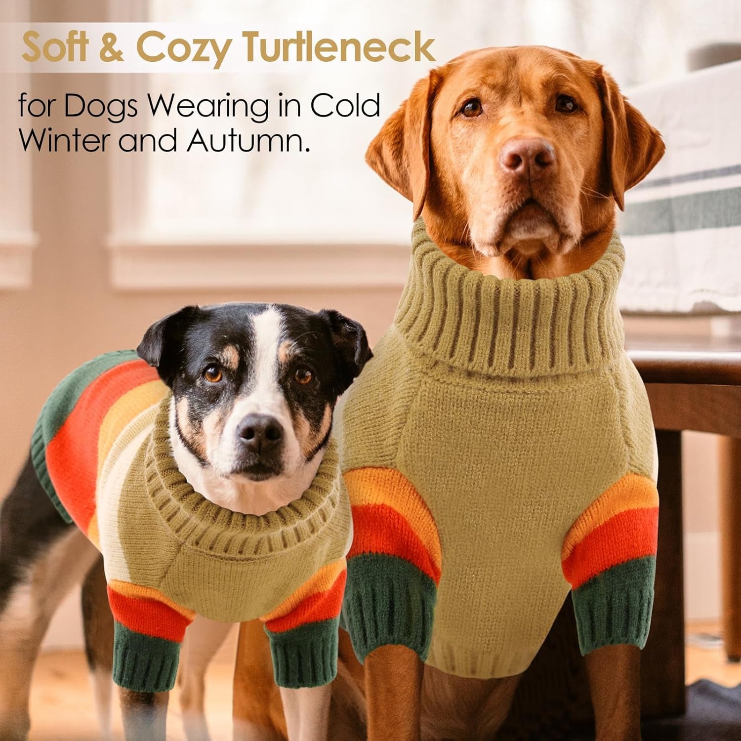Hunde-Pullover