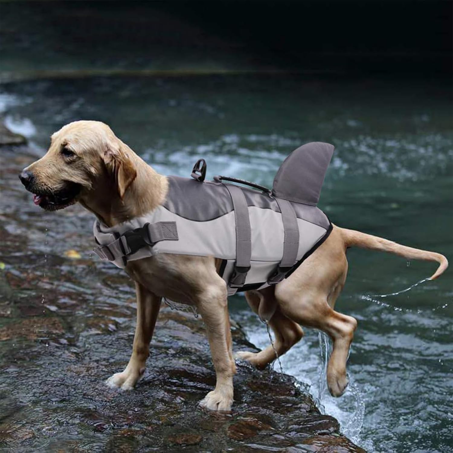 CITÉTOILE Schwimmweste Hunde Hai, Leicht Und Sicher Für Wassersport, Hundeschwimmweste Mit Griff Und Reflektierend Für Kleine Mittlere Und Große Hunde, Grau, M