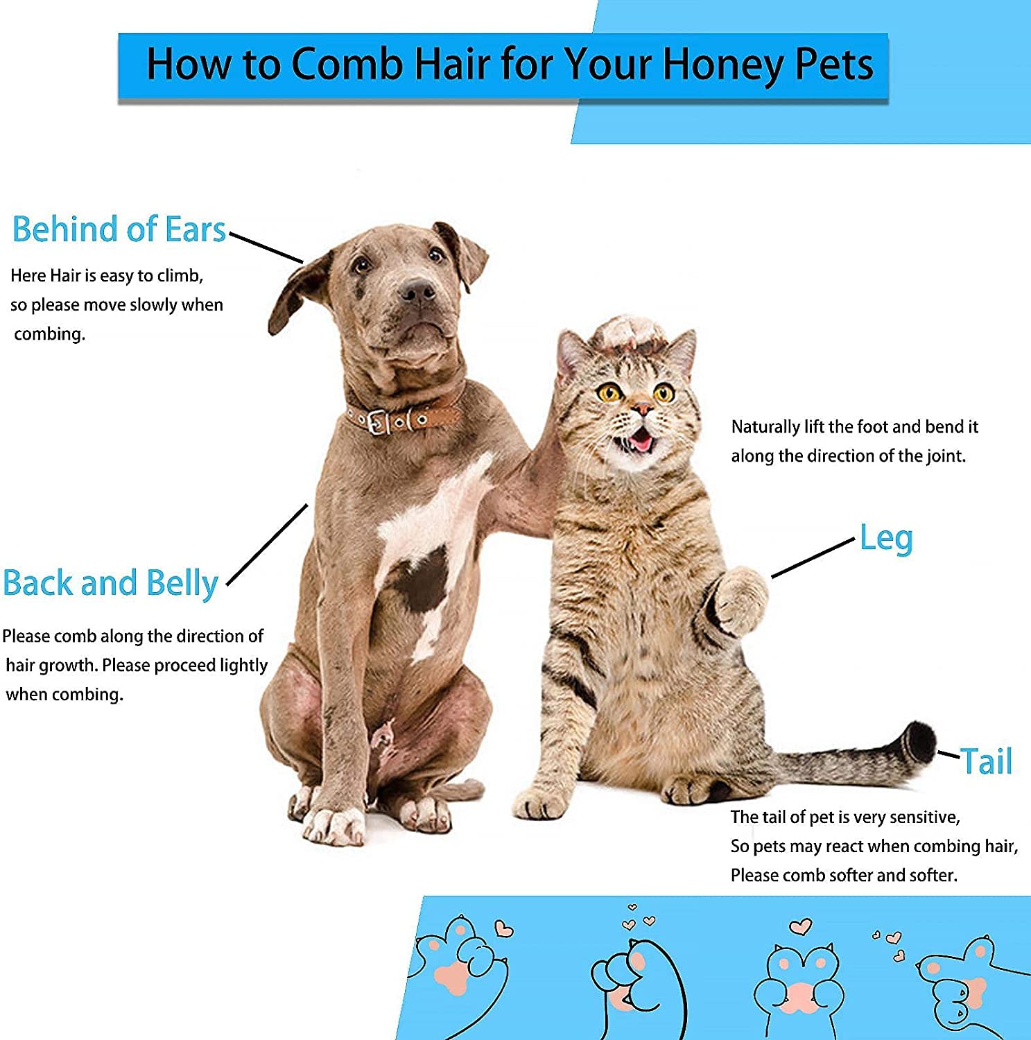 ACE2ACE Haustier Hundebürste Katzenbürste, Haustier Bürsten, Hundebürste Katzenbürste Für Langhaar Und Kurzhaar, Sauberes Haustierhaar Von Der Bürste Mit Einem Knopf, Blau