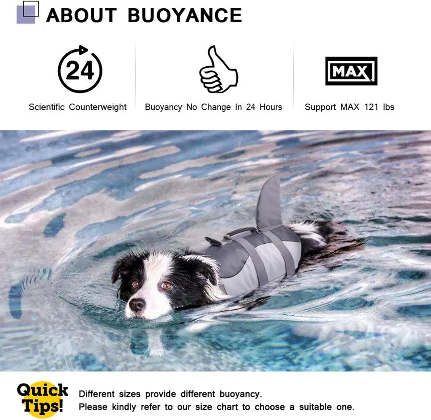 CITÉTOILE Schwimmweste Hunde Hai, Leicht Und Sicher Für Wassersport, Hundeschwimmweste Mit Griff Und Reflektierend Für Kleine Mittlere Und Große Hunde, Grau, M