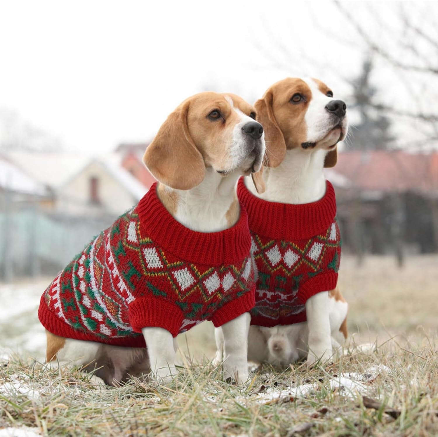 Hjumarayan Hundepullover - Boho Hundepullover Kleine Hunde Weihnachtspullover, Schöne Hunde Pullover Mit Geschirr Öffnung, Dicken Hundepulli Chihuahua Yorkshire Jack Russell Pullis (Rot-Grün M)
